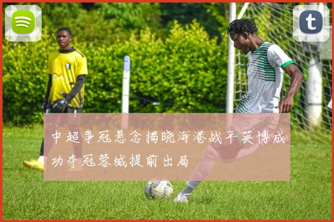 中超争冠悬念揭晓海港战平英博成功夺冠蓉城提前出局