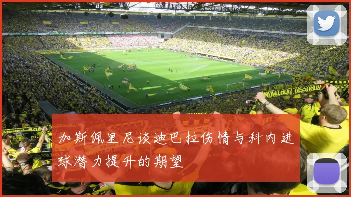 加斯佩里尼谈迪巴拉伤情与科内进球潜力提升的期望