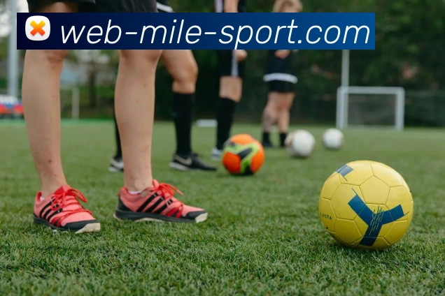 米乐体育服务体系